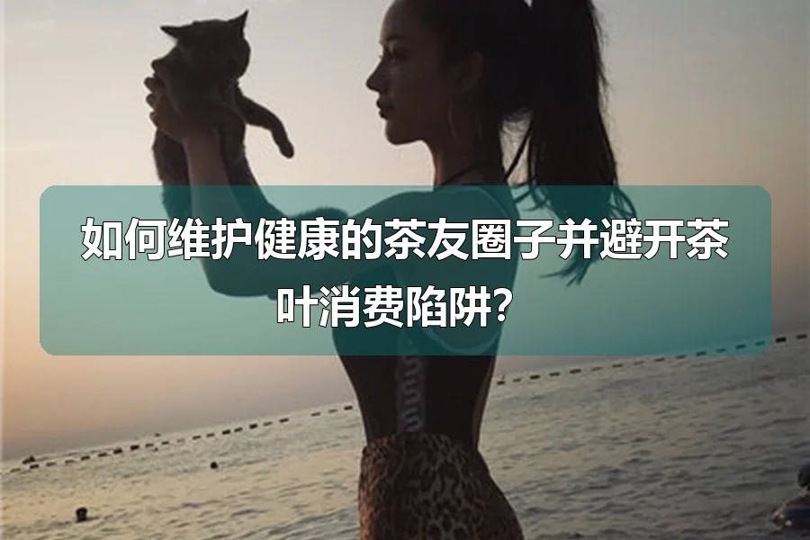 如何维护健康的茶友圈子并避开茶叶消费陷阱？